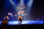 Thumbs/tn_Dansmarieke festival 2015 565.jpg